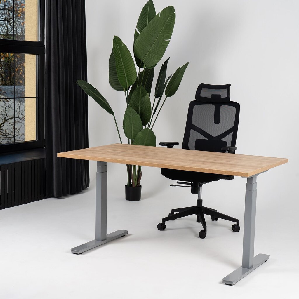 Regulējams galds Ergostock Unico line 120x65 Oak / Anthracite cena un informācija | Datorgaldi, rakstāmgaldi, biroja galdi | 220.lv