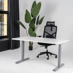 Регулируемый стол Ergostock Unico line, 120x80 см, белый/цвета антрацита цена и информация | Компьютерные, письменные столы | 220.lv