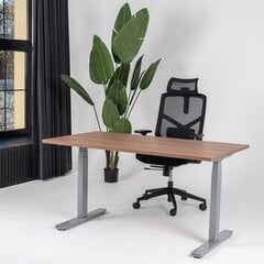 Regulējams galds Ergostock Unico line 160x80 Wallnut / Anthracite cena un informācija | Datorgaldi, rakstāmgaldi, biroja galdi | 220.lv