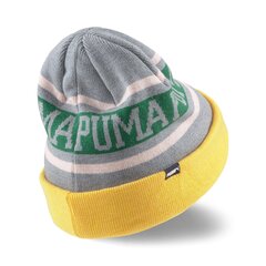 Pelēka brīvā laika cepure pieaugušajiem Puma Basketball Classic Cuff Beanie Qu - 02357002 02357002.ADULT cena un informācija | Puma Aksesuāri sievietēm | 220.lv