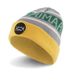 Pelēka brīvā laika cepure pieaugušajiem Puma Basketball Classic Cuff Beanie Qu - 02357002 02357002.ADULT cena un informācija | Puma Aksesuāri sievietēm | 220.lv