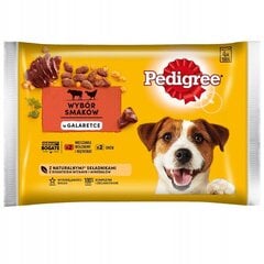 Pedigree Adult Selection of Flavours in Jelly для взрослых собак с говядиной и птицей, 52x100 г цена и информация | Консервы для собак | 220.lv