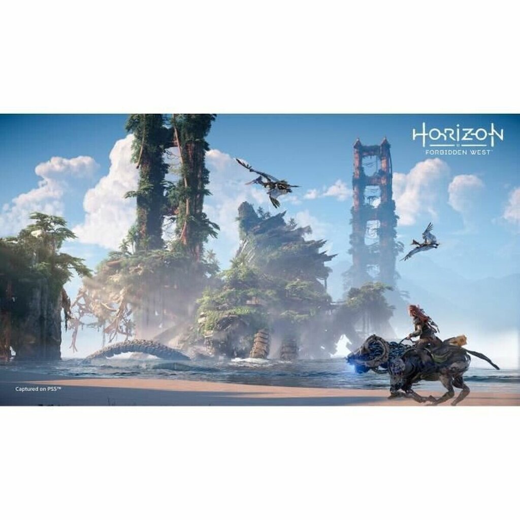 Horizon Forbidden West cena un informācija | Datorspēles | 220.lv