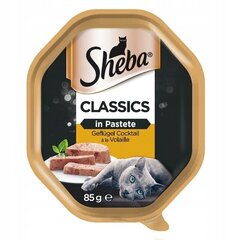 Sheba Classics kaķiem, ar vistu un tītaru, 22x85 g cena un informācija | Konservi kaķiem | 220.lv