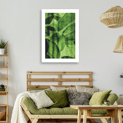 Печать холста. Зеленые листья 3D 39,99 цена и информация | Картины | 220.lv