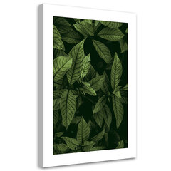 Печать холста. Зеленые листья 3D 39,99 цена и информация | Картины | 220.lv