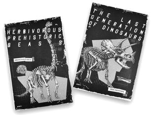 Piezīmju bloks M&G Prehistoric Memory, 14.2x21cm, 96 lapas цена и информация | Тетради и бумажные товары | 220.lv