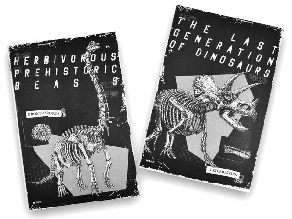 Piezīmju bloks M&G Prehistoric Memory, 14.2x21cm, 96 lapas цена и информация | Burtnīcas un papīra preces | 220.lv