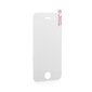 OEM 9H Xiaomi Redmi 8 cena un informācija | Ekrāna aizsargstikli | 220.lv