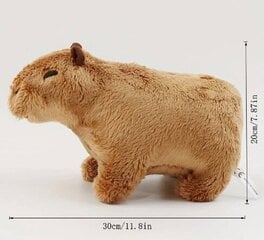 Plīša rotaļlieta Capybara,brūna цена и информация | Мягкие игрушки | 220.lv