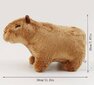 Plīša rotaļlieta Capybara,brūna cena un informācija | Mīkstās (plīša) rotaļlietas | 220.lv