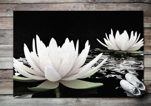 Durvju paklājs Ūdens Lilijas Ziedi, 150x100 cm cena un informācija | Kājslauķi | 220.lv