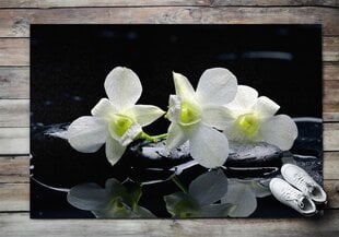 Durvju paklājs Orhidejas, 150x100 cm cena un informācija | Kājslauķi | 220.lv