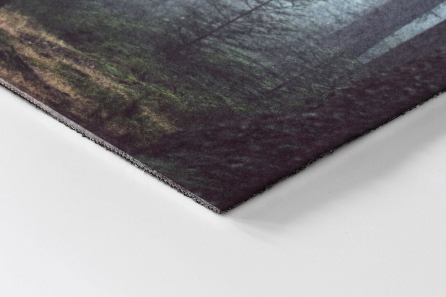 Durvju paklājs Miglas Mežs, 150x100 cm цена и информация | Kājslauķi | 220.lv