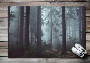 Durvju paklājs Miglas Mežs, 150x100 cm цена и информация | Придверные коврики | 220.lv