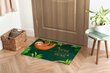 Durvju paklājs Slinķis, 90x60 cm цена и информация | Kājslauķi | 220.lv