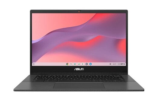 Asus Chromebook CM1402 CM1402CM2A-EK0167 цена и информация | Ноутбуки | 220.lv