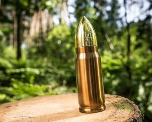 Термос Bullet, 350 мл цена и информация | Другие оригинальные подарки | 220.lv