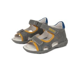 D.D.Step sandales zēniem, pelēkas цена и информация | Детские сандали | 220.lv