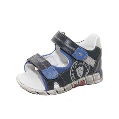Pavle sandales zēniem, zilas цена и информация | Детские сандали | 220.lv