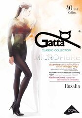 КОЛГОТКИ ROSALIA GATTA 40 цена и информация | Kолготки | 220.lv