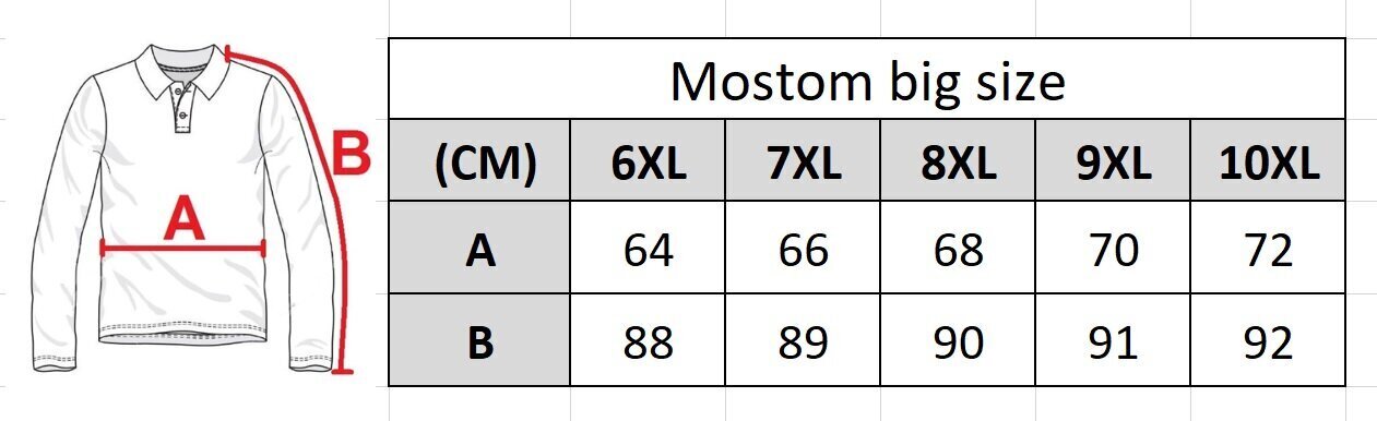 T-krekls vīriešiem Mostom 069-3, pelēks цена и информация | Vīriešu T-krekli | 220.lv