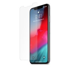 Nexeri Blue Line Защитная Плёнка Экрана Мобильного Телефона для Apple iPhone XS Max цена и информация | Защитные пленки для телефонов | 220.lv