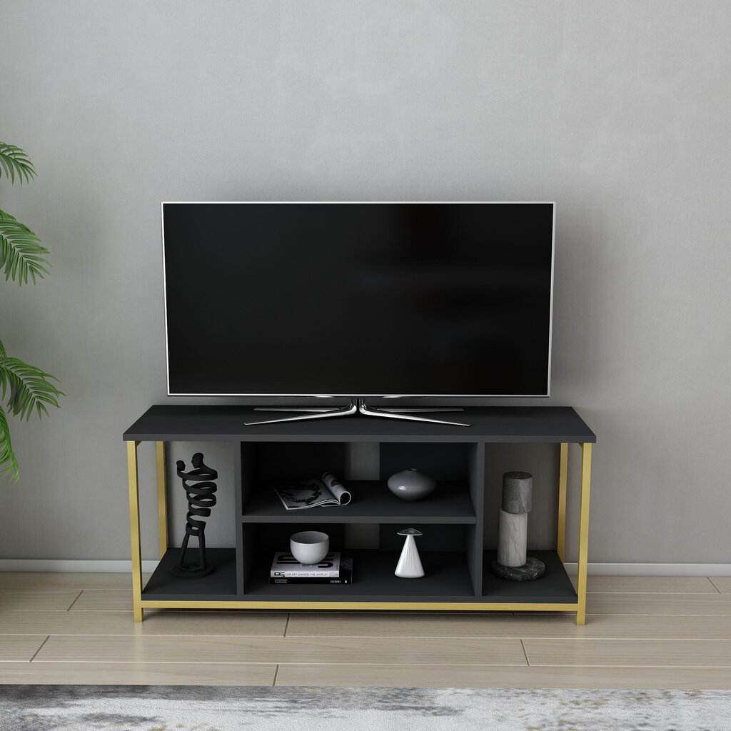 TV galdiņš Asir, 120x35x50,8 cm, pelēks/zelts цена и информация | TV galdiņi | 220.lv