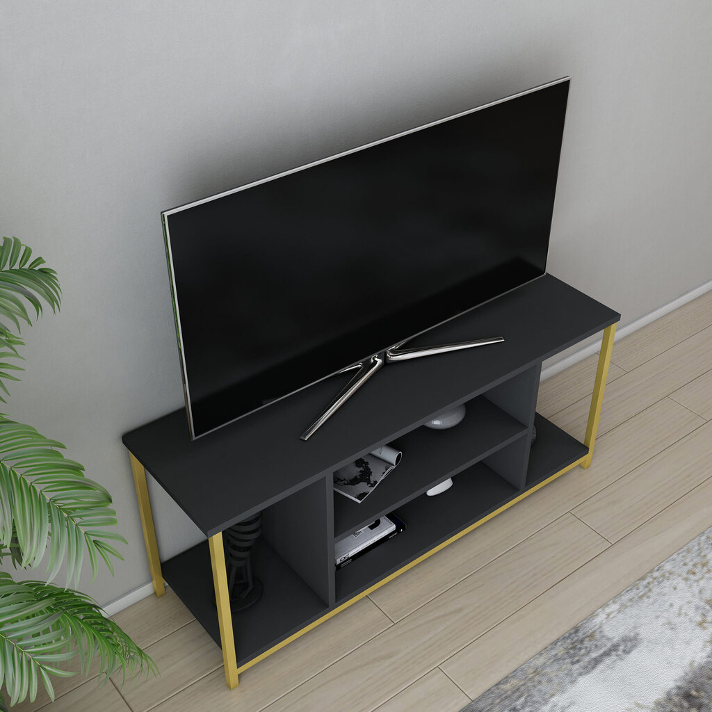 TV galdiņš Asir, 120x35x50,8 cm, pelēks/zelts цена и информация | TV galdiņi | 220.lv