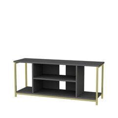 TV galdiņš Asir, 120x35x50,8 cm, pelēks/zelts cena un informācija | TV galdiņi | 220.lv