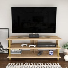TV galdiņš Asir, 120x44,6x47,4 cm, zelts/bēšs cena un informācija | TV galdiņi | 220.lv