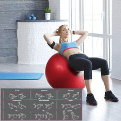 Medi Sleep: гимнастический мяч с насосом 65 см и уникальный комплекс упражнений цена и информация | Гимнастические мячи | 220.lv