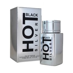 Parfimērijas ūdens Hot Black Silver Bernard Dimitri EDP vīriešiem, 100 ml cena un informācija | Vīriešu smaržas | 220.lv