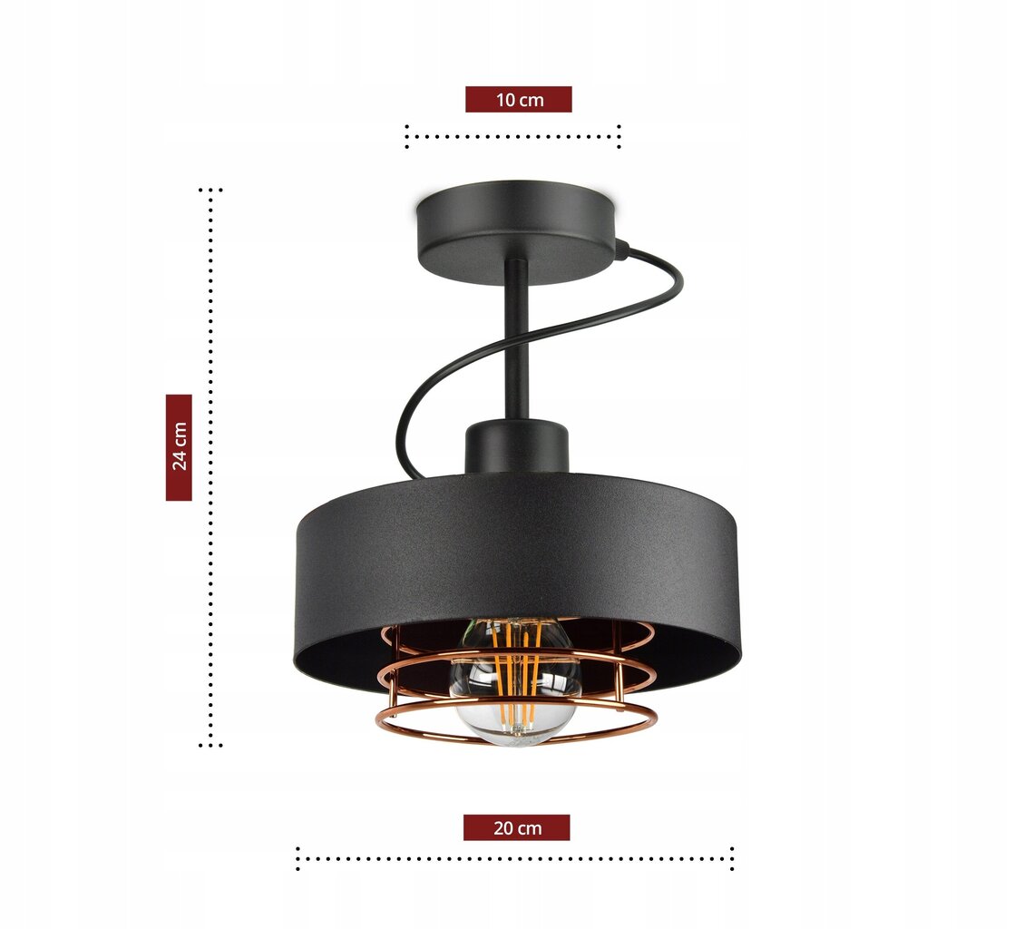 Luxolar piekaramā lampa cena un informācija | Lustras | 220.lv