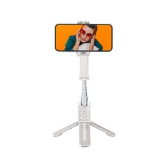 Hohem iSteadyQ цена и информация | Моноподы для селфи («Selfie sticks») | 220.lv