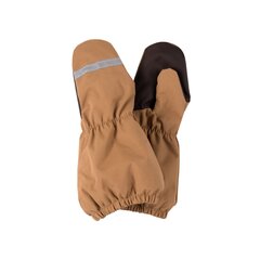 Детские варежки Rain Lenne, коричневый цена и информация | Шапки, перчатки, шарфы для мальчиков | 220.lv
