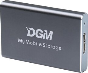 DGM My Mobile Storage MMS256SG цена и информация | Жёсткие диски | 220.lv