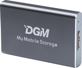 DGM My Mobile Storage MMS128SG цена и информация | Жёсткие диски | 220.lv