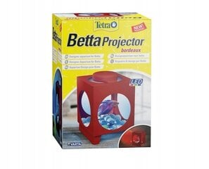 Модуль освещения аквариума Tetra Betta Projector Lighting Unit бордовый цена и информация | Аквариумы и оборудование | 220.lv