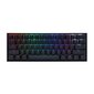 Ducky One 2 Mini MX-Blue RGB-LED DKON2061ST-CDEPDAZT1 cena un informācija | Klaviatūras | 220.lv