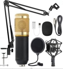 Forev 29839 цена и информация | Микрофоны | 220.lv