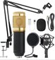 Forev 29839 цена и информация | Mikrofoni | 220.lv