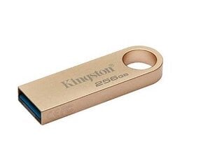 Kingston DataTraveler 256GB USB 3.2 цена и информация | USB накопители | 220.lv