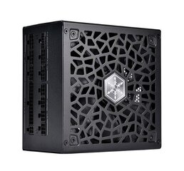 Silverstone Hela 850R цена и информация | Блоки питания (PSU) | 220.lv