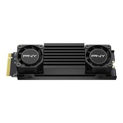 PNY CS3150 (M280CS3150HS-1TB-RB) цена и информация | Pny Компьютерная техника | 220.lv