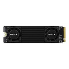 PNY CS3150 (M280CS3150HS-1TB-RB) цена и информация | Внутренние жёсткие диски (HDD, SSD, Hybrid) | 220.lv