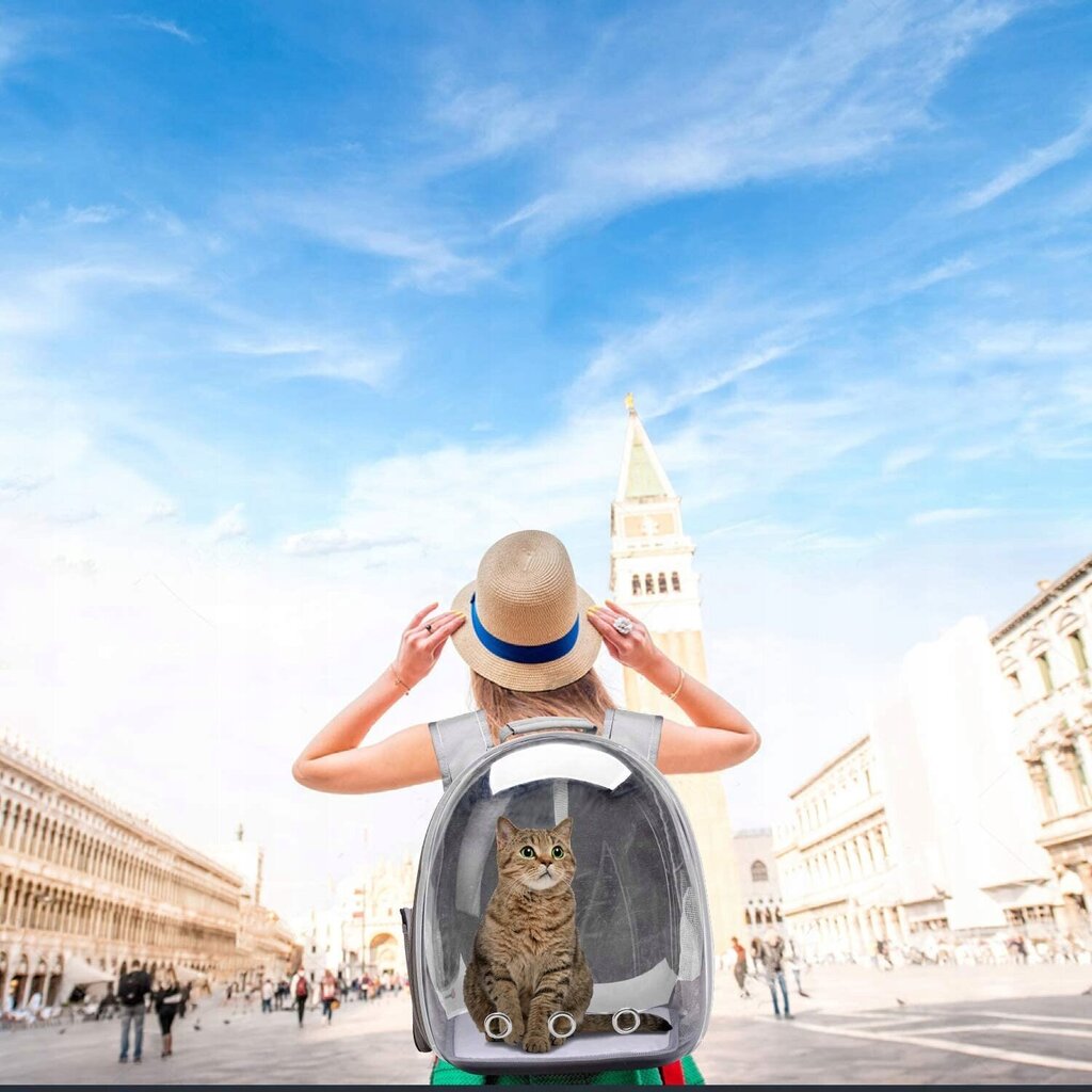 Caurspīdīgs suņu vai kaķu transportieris, pelēkā krāsā cena un informācija | Transportēšanas būri, somas | 220.lv