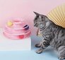 Kaķu trīsslāņu rotējošā rotaļlieta rozā krāsā cena un informācija | Rotaļlietas kaķiem | 220.lv