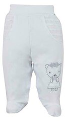 Спортивные штаны для мальчиков, серые цена и информация | Штаны для младенцев | 220.lv