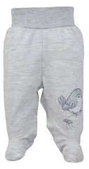 Спортивные штаны для мальчиков, серые цена и информация | Штаны для младенцев | 220.lv